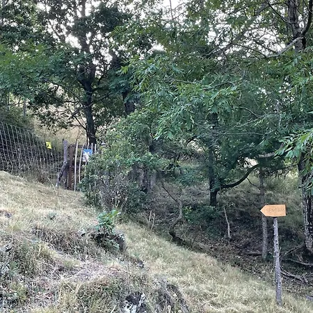 Шале Bois Montagne Occitanie *
