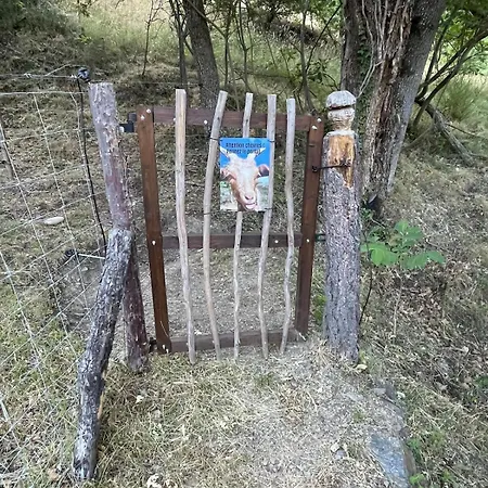 Bois Montagne Occitanie *
