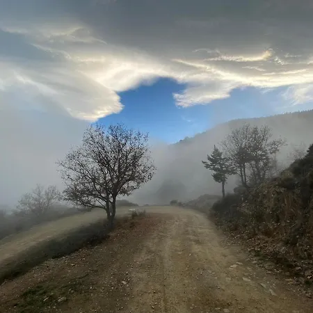Bois Montagne Occitanie Urbanya